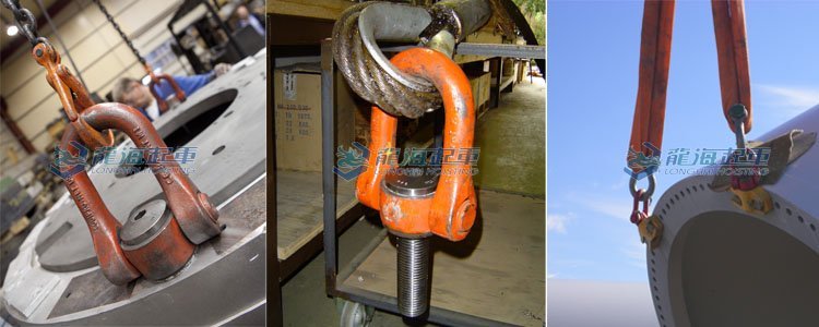 DSS型盧森堡旋轉(zhuǎn)吊環(huán)案例圖