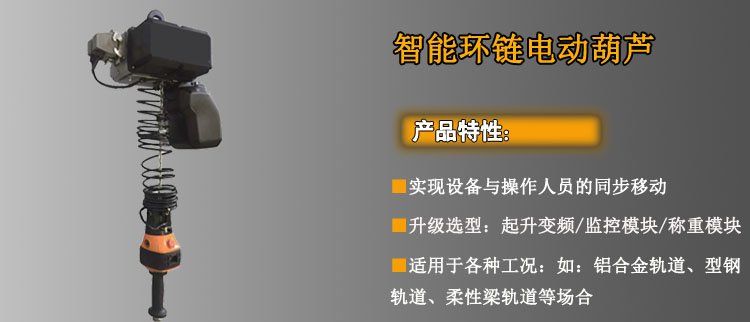 智能環鏈電動葫蘆介紹