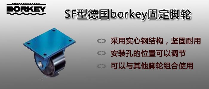 SF型德國borkey固定腳輪圖片 SF型德國borkey固定腳輪圖片